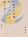 青春ブタ野郎はビーチクイーンの夢を見ない 後編