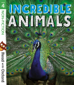 Colour Codes (from Incredible Animals)