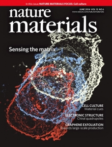 Harnessing nanotopography and integrin–matrix interactions to influence stem cell fate