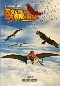 天空を制した巨大翼竜と鳥たち