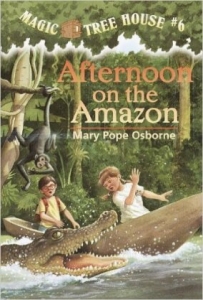 Afternoon on the Amazon