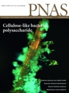 Dynamic phototuning of 3D hydrogel stiffness