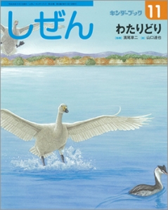 しぜん　キンダーブック　2014年11月号　わたりどり