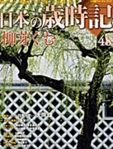 週刊日本の歳時記48柳芽ぐむ