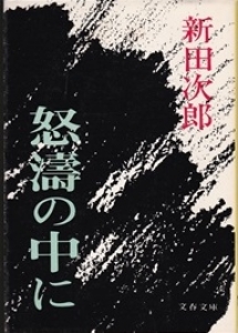 怒涛の中に