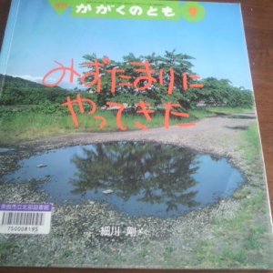 月刊 かがくのとも 2004年 9月号 [雑誌]