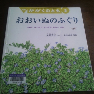 月刊 かがくのとも 2009年 3月号 [雑誌]