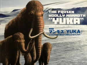 特別展 マンモス「YUKA」 シベリアの永久凍土から現れた少女マンモス