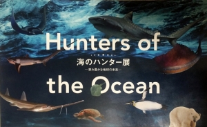 海のハンター展 ―恵み豊かな地球の未来―