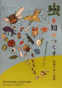 虫を知りつくす 京都大学の挑戦
