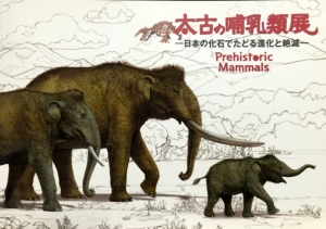 太古の哺乳類展―日本の化石でたどる進化と絶滅―
