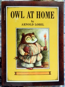 Owl at home