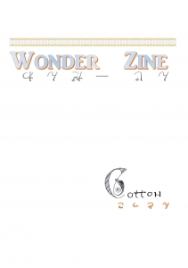 wonder zine