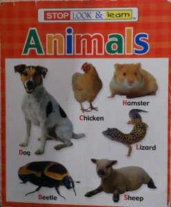 stop, look and learn animals