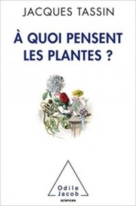 A quoi pensent les plantes ?