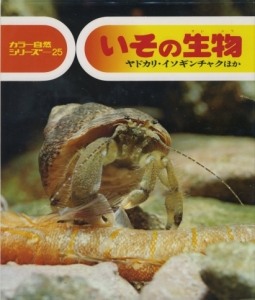 いその生物