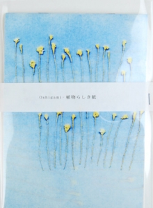 Oshigami - 植物らしき紙