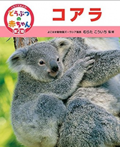 くらべてみよう！どうぶつの赤ちゃん〈12〉コアラ