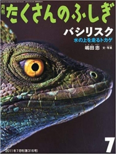 月刊 たくさんのふしぎ バシリスク　2011年 07月号