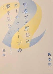 青春ブタ野郎はビーチクイーンの夢を見ない