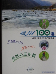 桂川１００選