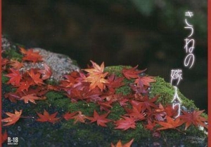 きつねの嫁入り