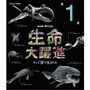 ＮＨＫスペシャル 生命大躍進 第１集 [DVD]