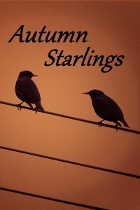 Autumn Starlings