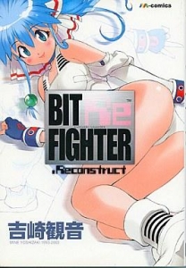 BIT FIGHTER .Reconstruct