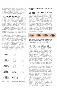 化粧による顔の心理効果: 顔錯視研究の観点から