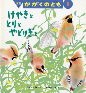 けやきと　とりと　やどりぎと / かがくのとも　2007年1月号