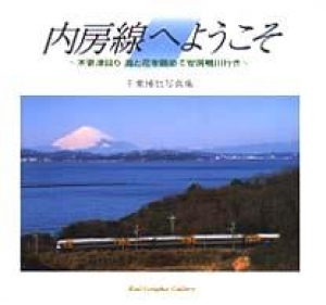 内房線へようこそ - 木更津回り海と花を眺めて安房鴨川行き