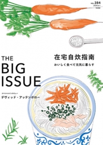 THE BIG ISSUE JAPAN vol.384