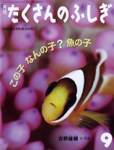 この子　なんの子？　魚の子 たくさんのふしぎ　2009年9月号