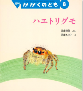 ハエトリグモ（かがくのとも 2016年8月号）