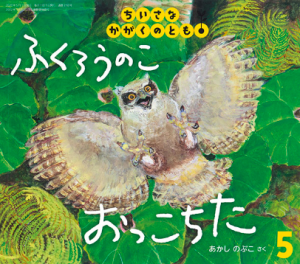 ふくろうのこ おっこちた（ちいさなかがくのとも 2020年5月号）