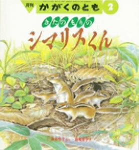 きたのもりの シマリスくん