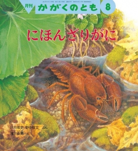 にほんざりがに / かがくのとも　2014年8月号