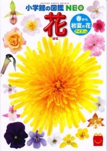 花 春から初夏の花 クイズつき (ハッピーセット × 小学館の図鑑 NEO)