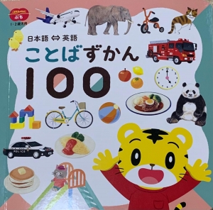 ことばずかん100