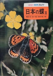 日本の蝶Ⅱ カラー自然ガイド