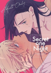 Secret one Night