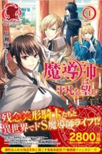 魔導師は平凡を望む（小説家になろう）