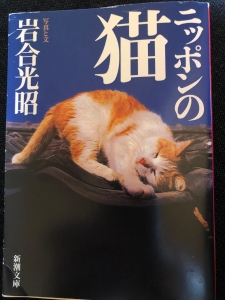 ニッポンの猫