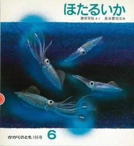 ほたるいか  かがくのとも　1985年6月号