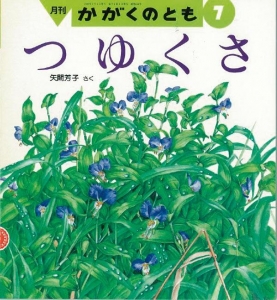 つゆくさ  かがくのとも　1989年7月号