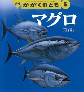  マグロ  かがくのとも　2022年5月号