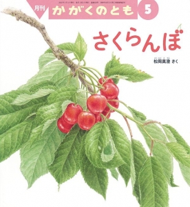  さくらんぼ  かがくのとも　2021年5月号