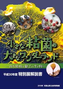 小さな粘菌の大きなワンダーランド : 南方熊楠を魅了した生き物 : 平成30年度特別展解説書