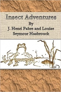 Insect Adventures